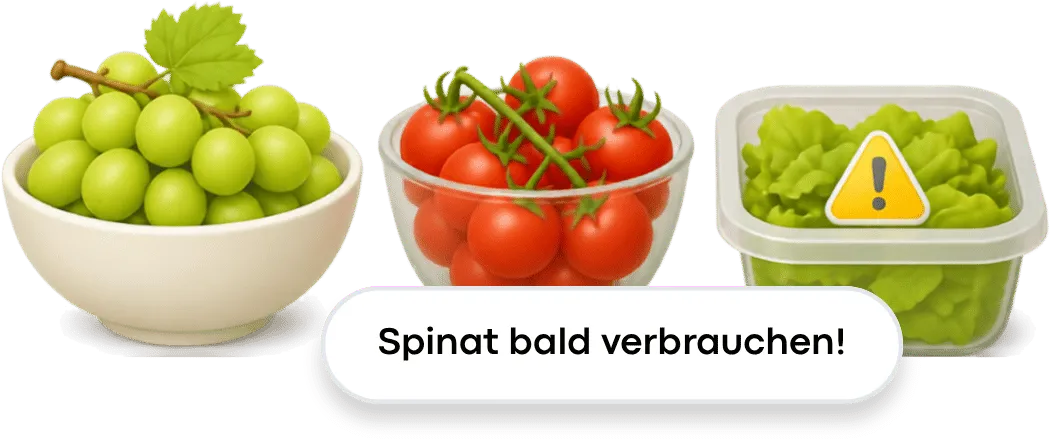 Trauben, Tomaten und Spinat mit einem Hinweis, den Spinat bald zu verbrauchen